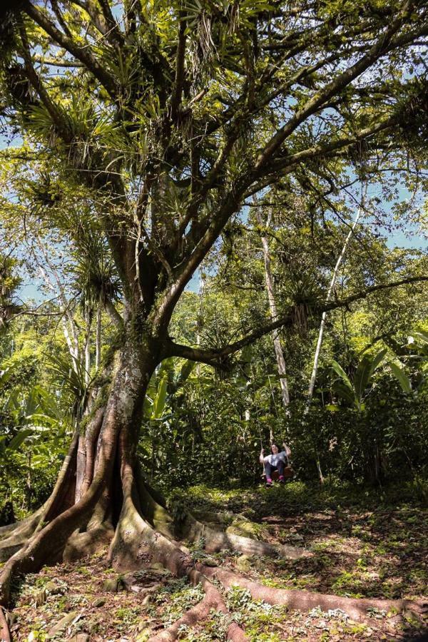 Chale Suico - Chales Belo Monte - Sitio Belo Monte Pacoti Zewnętrze zdjęcie